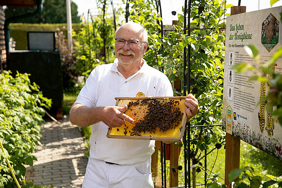 Josef Niklas präsentiert eine Wabe mit Bienen 