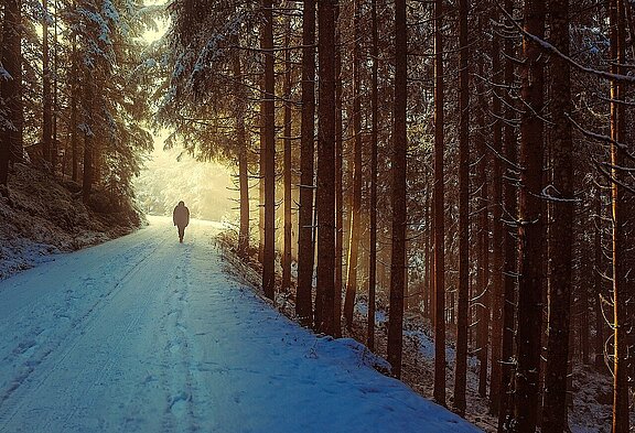 Wandern_Winter_Bergwandern_winter-g3fd976a3f_1280.jpg 